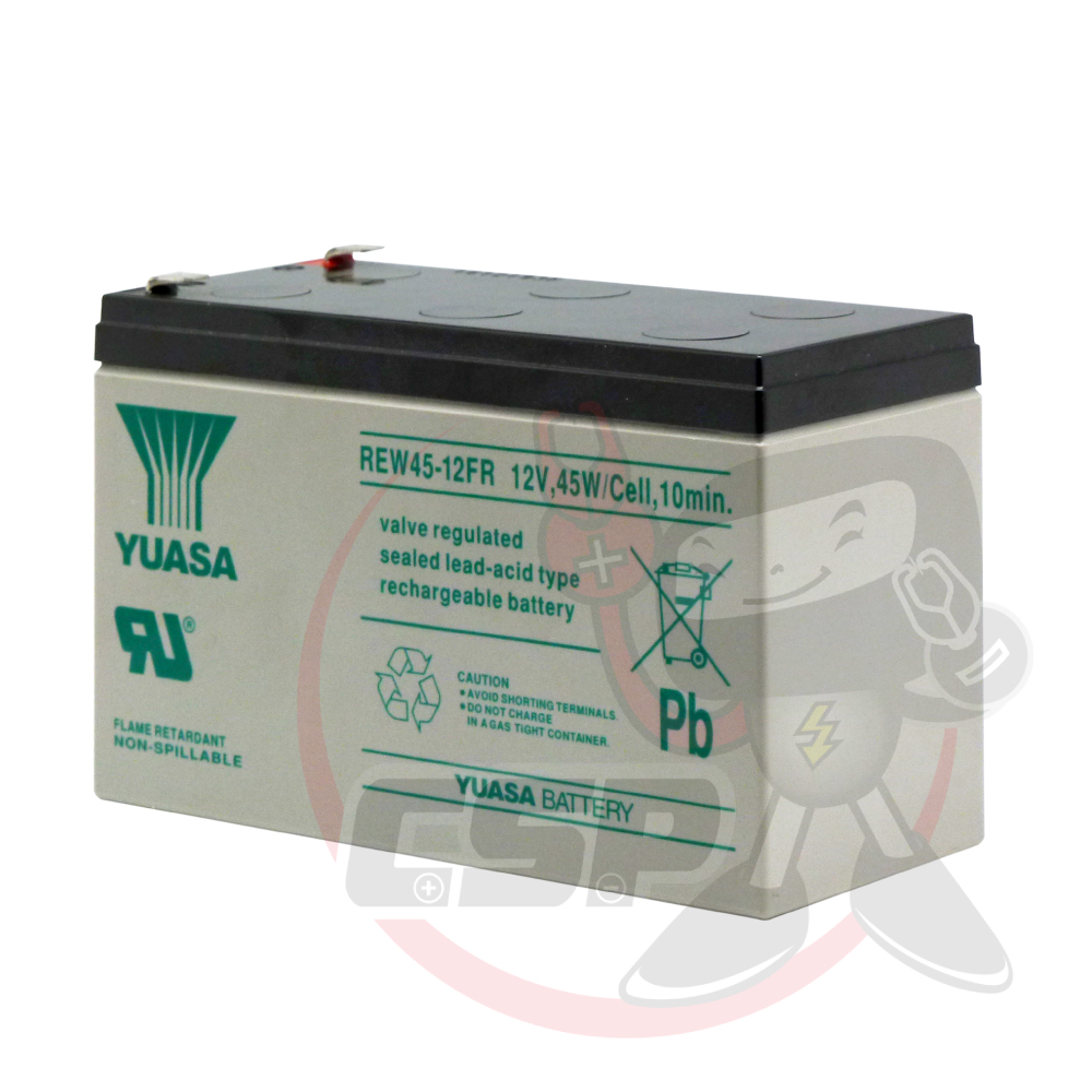 REW45-12 Valve Regulated Lead Acid Battery