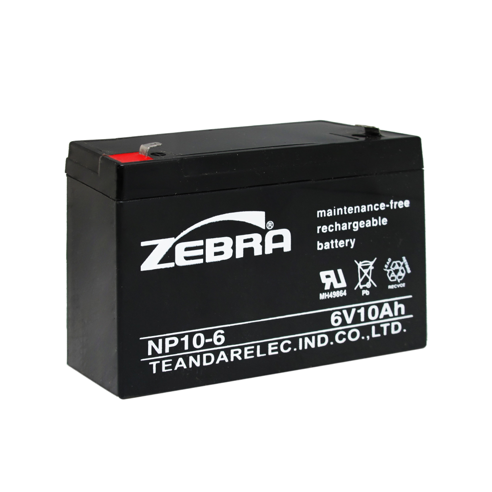 NP10-6 Industrial Battery