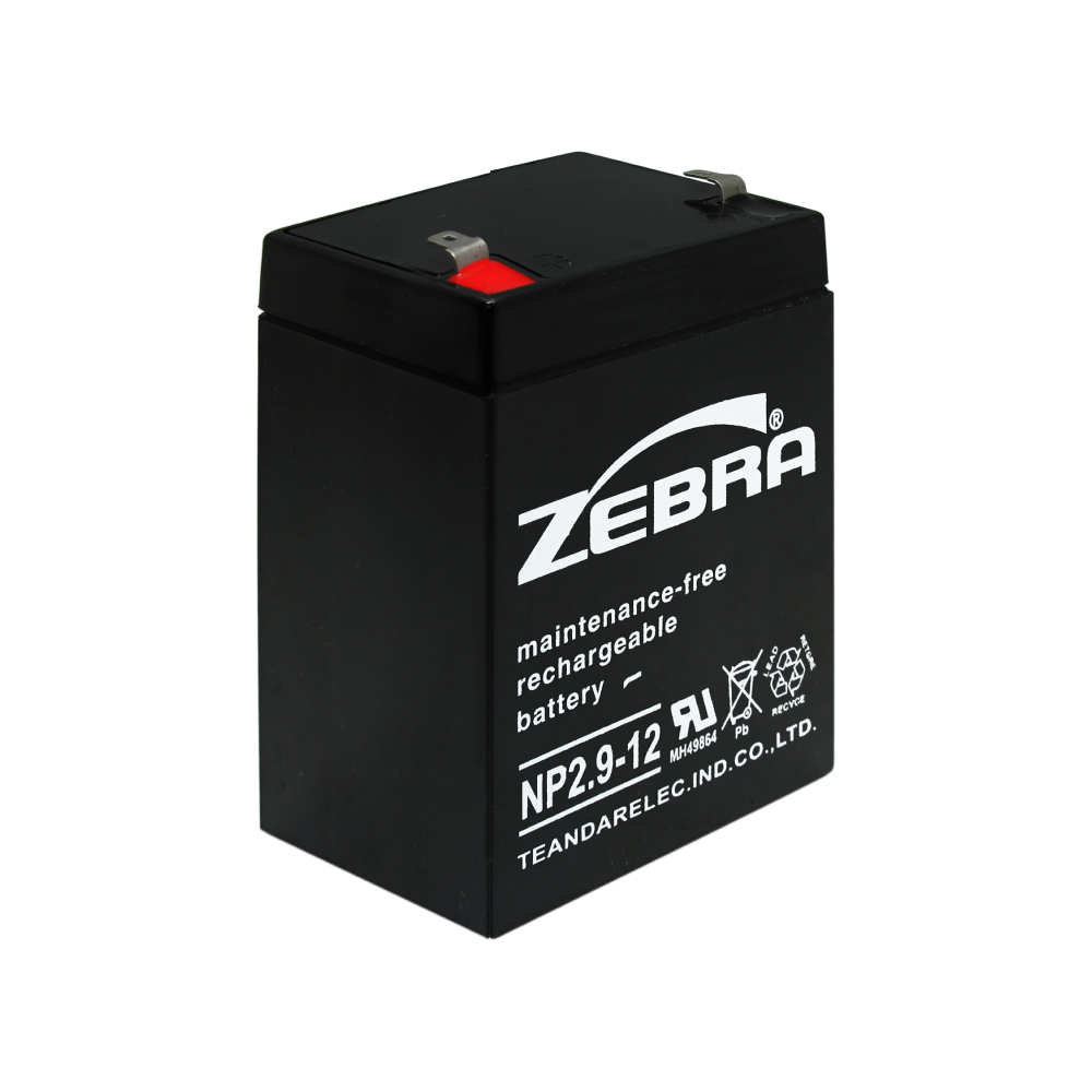 NP2.9-12 Industrial Battery