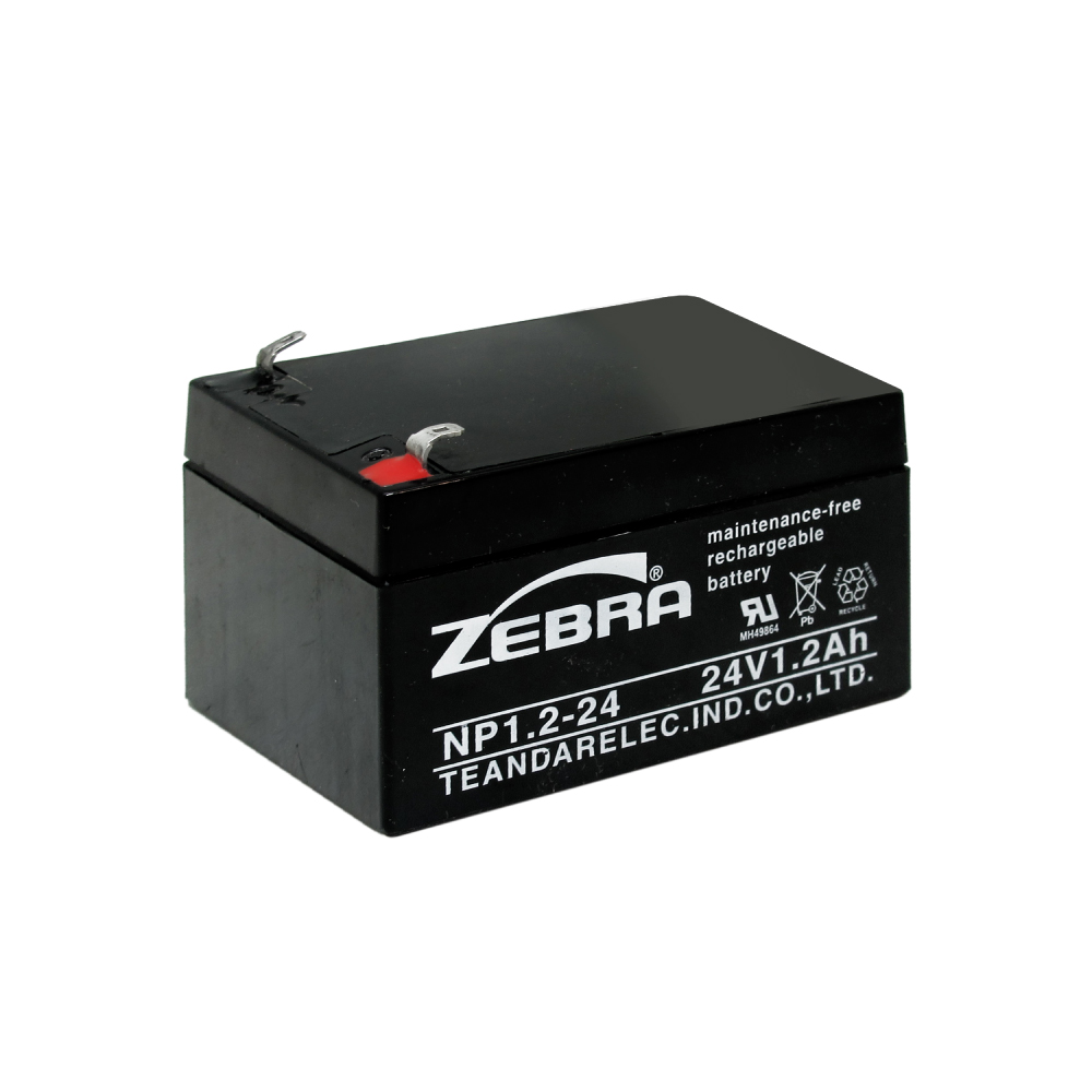 NP1.2-24 Industrial Battery