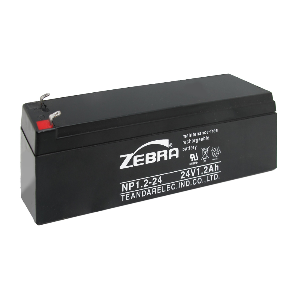 NP1.2-24 Industrial Battery