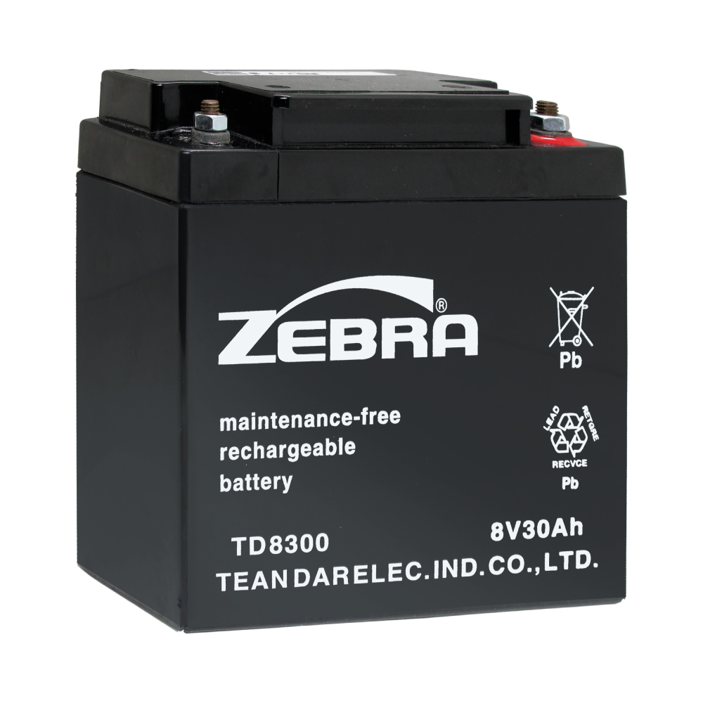 TD8300 Industrial Battery