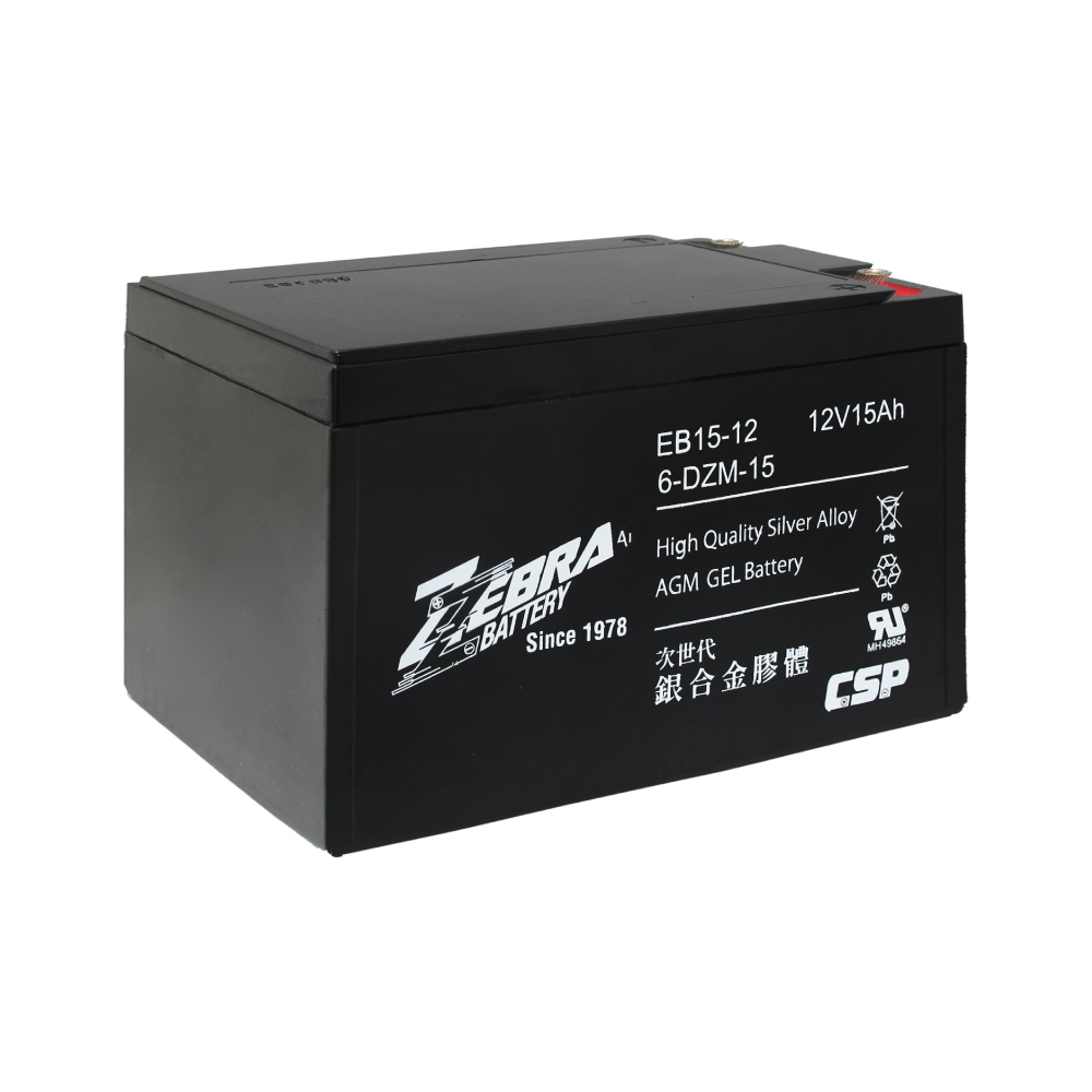 EB15-12 Electric Bike Battery