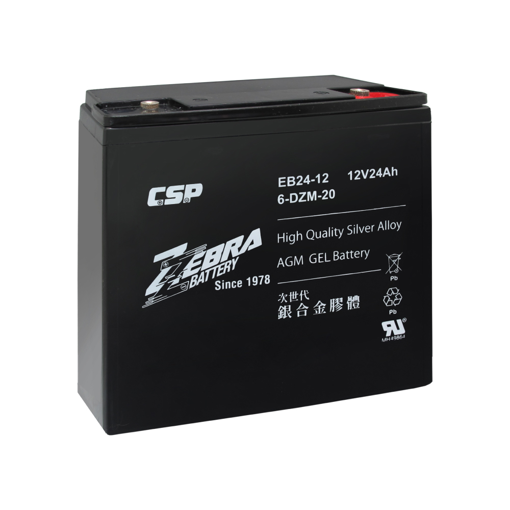 EB24-12 Electric Bike Battery