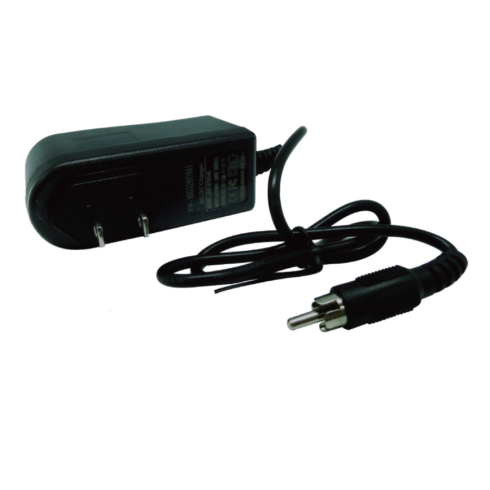 12V 300mmA Mini Charger