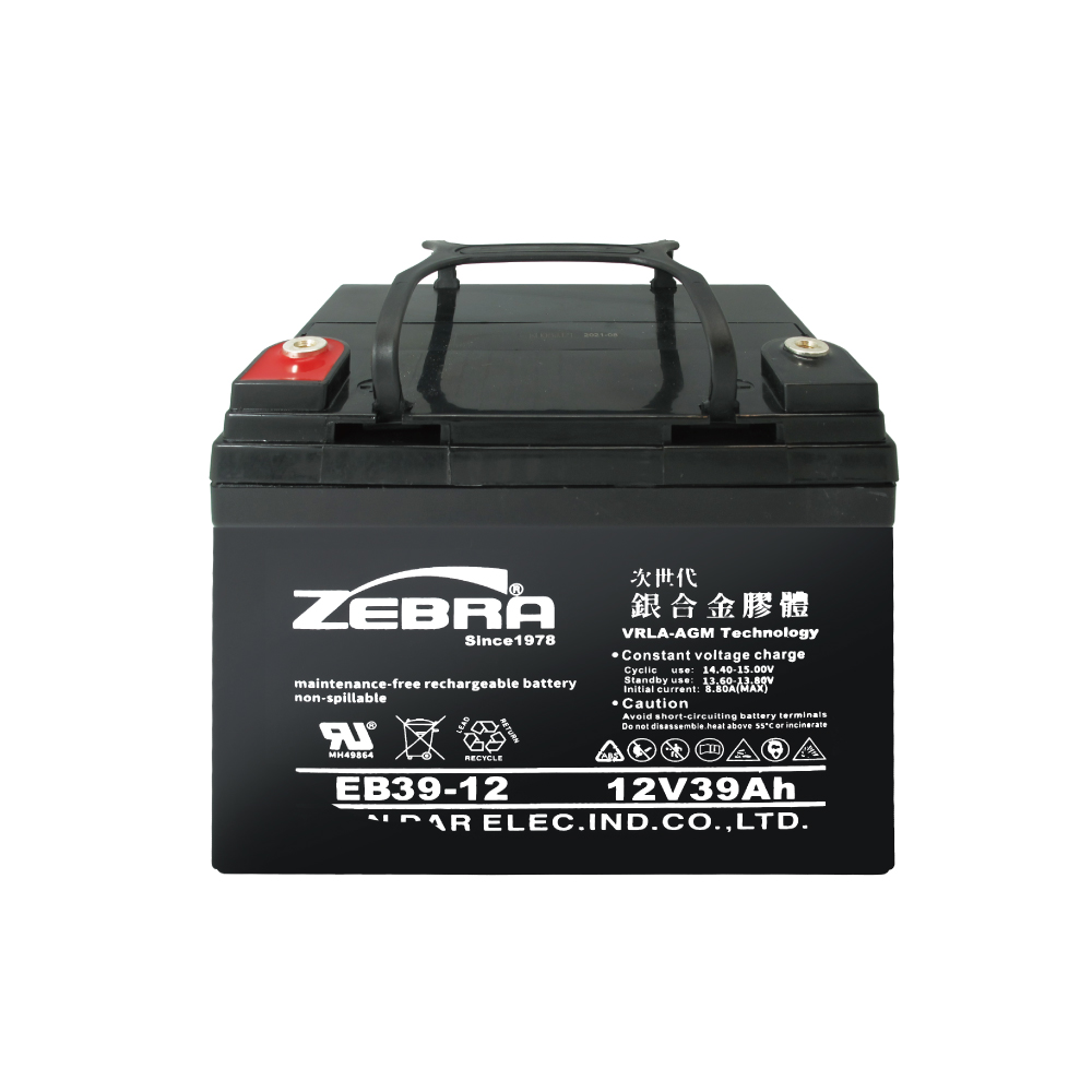 EB39-12 Electric Bike Battery