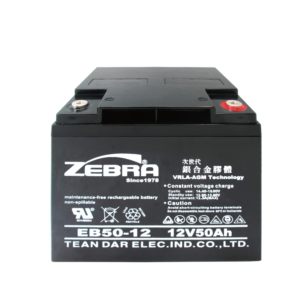 EB50-12 Electric Bike Battery